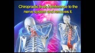 Chiropractic Patient Education Videos [upl. by Raye538]