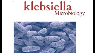 Klebsiella  Microbiology  K pneumonia  Bacteria [upl. by Leahpar784]