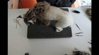 Needle Felted Iberian Lynx [upl. by Eniretac]