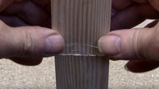 Gluing end grain wood  Titebond [upl. by Dalpe]