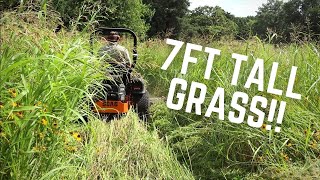 MOWING 7 FT TALL GRASS  Mowing Tall Thick Grass Extremely Overgrown with Scag Zero Turn Mower [upl. by Nivac]