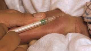 Vaccines and the Immune Response How Vaccines Work [upl. by Louella]