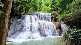 In Short  Khuean Srinagarindra National Park Thailand [upl. by Adnuhsal]