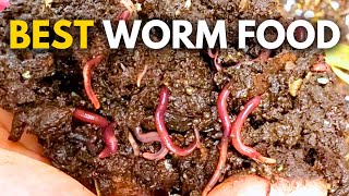 What to Feed Worms Vermicompost Made EASY [upl. by Nayhr406]