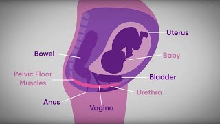 Pelvic floor exercises during pregnancy  txt4two Program  Mater Mothers [upl. by Pihc756]