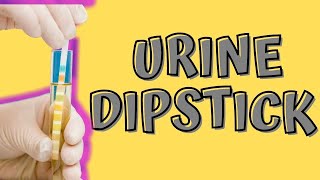 Home Tests for UTI Using “Urine Dipstick” with Dr Robert Chan at Home [upl. by Aikemet]