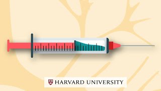 How mRNA vaccines work [upl. by Jonathon646]