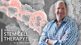 Regenerative Stem Cell Therapy Explained  Dr Steve Meyers [upl. by Naujek777]