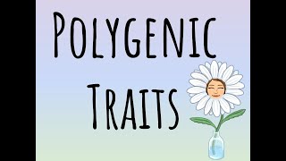 Polygenic Traits [upl. by Ycart]