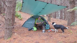 CAMPING in HEAVY RAIN with TENT and TARP [upl. by Deina]