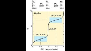 Amino Acid Titration Curve Part 1 [upl. by Grissom]