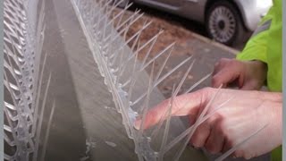 How to install Defender™ 8 Wide Plastic Pigeon Spikes [upl. by Windham350]