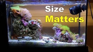 The Truth about the Fluval Evo V  Size [upl. by Noiro348]