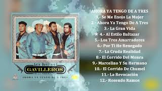 Los Gavilleros De La Sierra  Ahora Ya Tengo De A Tres Álbum Completo [upl. by Munster680]