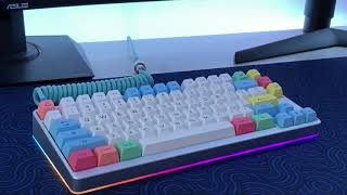 This is the thockiest keyboard [upl. by Ennazus33]