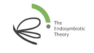 Evolution Endosymbiotic Theory [upl. by Ifar]