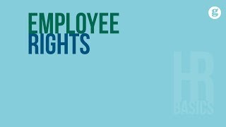 HR Basics Employee Rights [upl. by Vergos]