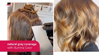 NaturalResult Gray Coverage with Illumina Color  Wella Professional [upl. by Ahtennek]