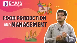 What is Food Production and Management [upl. by Filomena637]