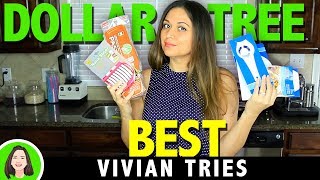 Best Dollar Tree Products I Ever Tried  Vivian Tries [upl. by Birkner581]