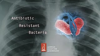 Antibiotic Resistant Bacteria [upl. by Mccreary579]