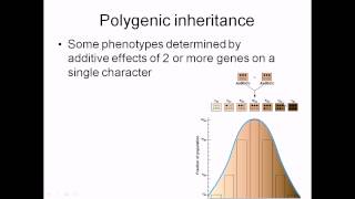 Polygenic inheritance [upl. by Ulphia]