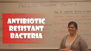 Antibiotic Resistant Bacteria [upl. by Rotberg477]