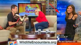 Funniest TV News Bloopers of 2021 [upl. by Ermengarde]