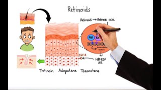 Pharmacology  ACNE TREATMENTS MADE EASY [upl. by Nets307]